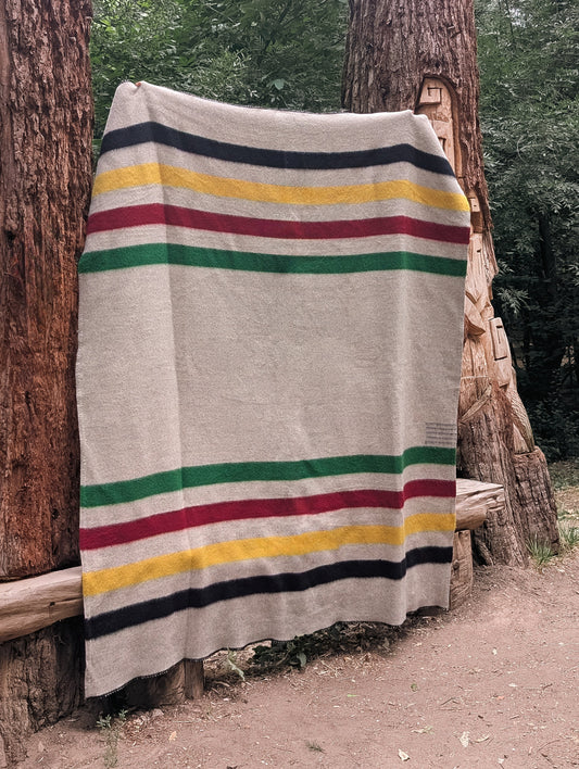 heirloom Striped blanket handwoven from pure wool and draped over trees in a forest setting